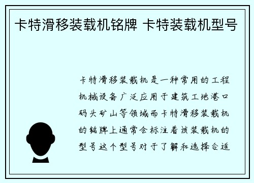 卡特滑移装载机铭牌 卡特装载机型号